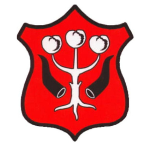 Coat of arms of Garwolin Miasto